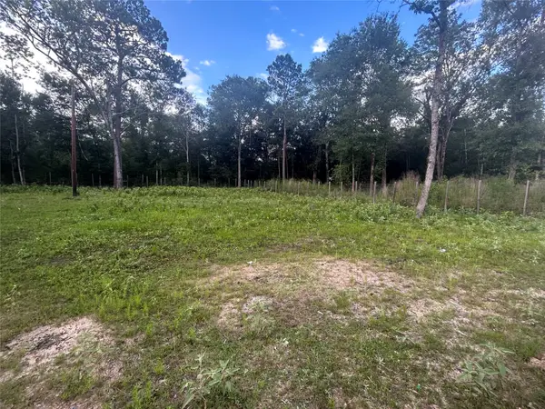 03 Judy Lane, Shepherd, TX 77371