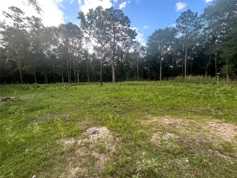 03 Judy Lane, Shepherd, TX 77371 - Image #3