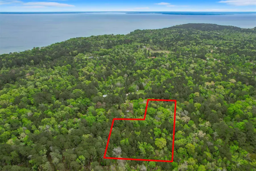 433 Saddle Surrey Lane, Coldspring, TX 77331 - Image #2