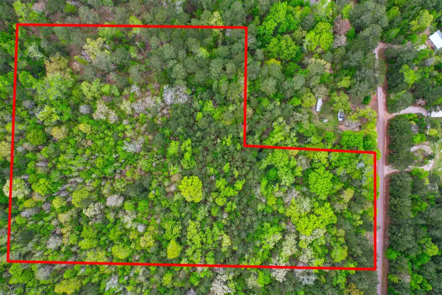 433 Saddle Surrey Lane, Coldspring, TX 77331 - Image #3