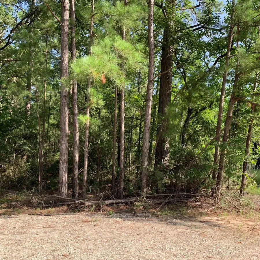 TBD Hard Rock Ln Drive, Trinity, TX 75862 - #3