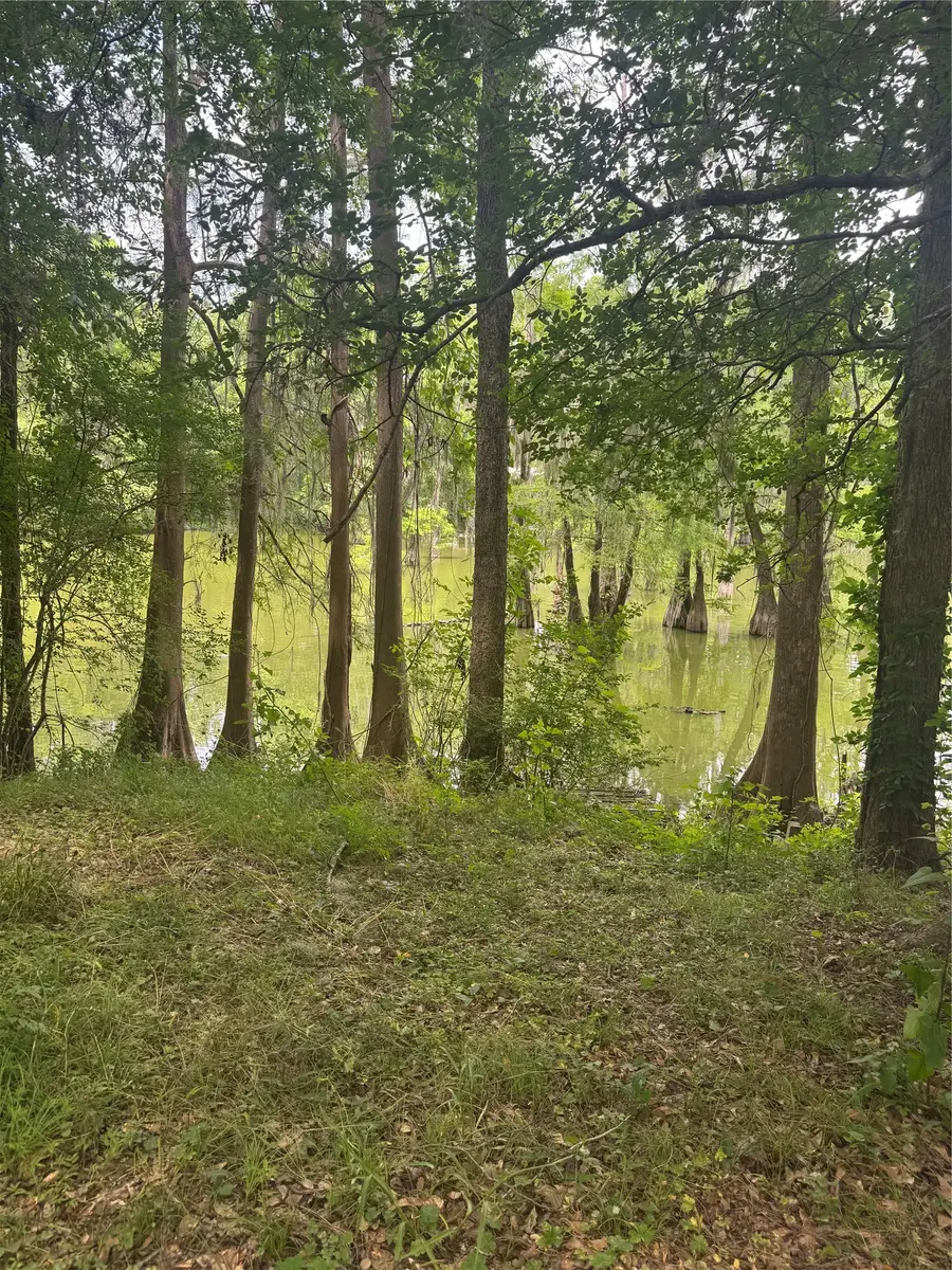 45 County Road 2859, Cleveland, TX 77327 - #2