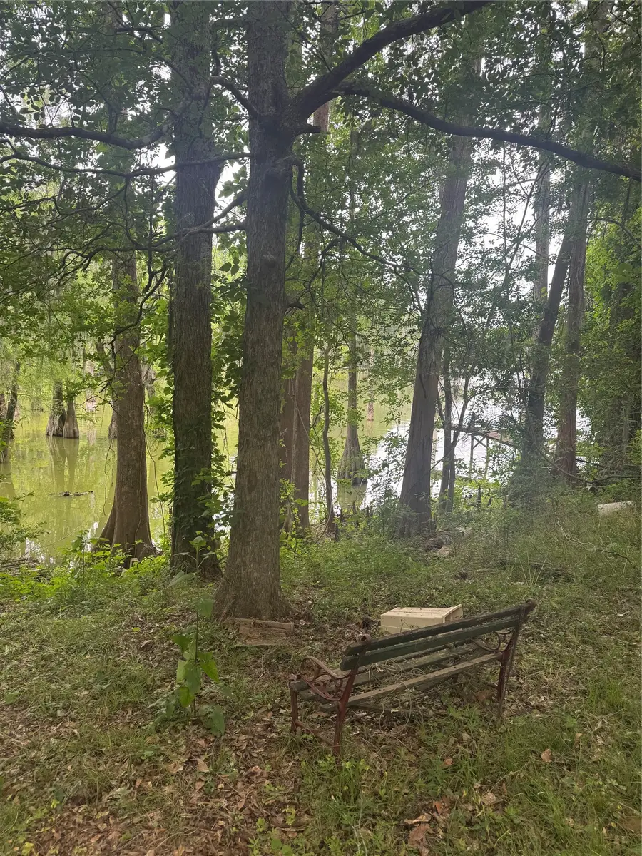 45 County Road 2859, Cleveland, TX 77327 - #3