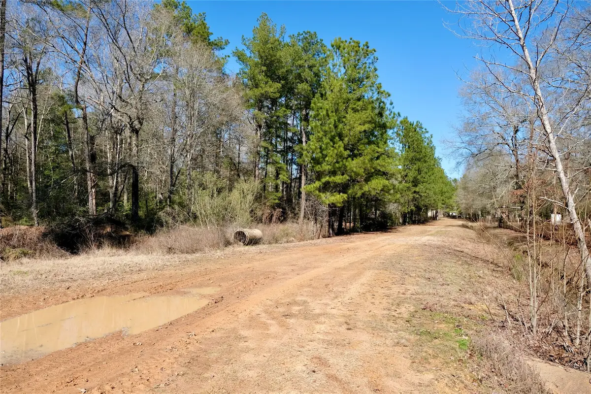 802 Bayou Oaks Street, Shepherd Evergreen, TX 77328 - Image #1