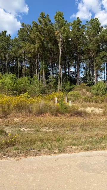 1365 Road 5890, Cleveland, TX 77327 - #2