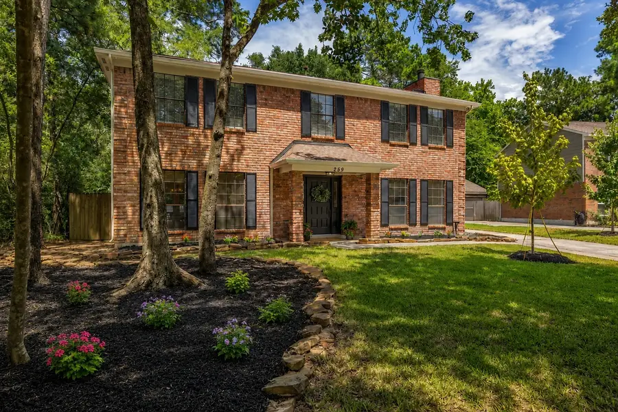 259 E Rainbow Ridge Circle, The Woodlands, TX 77381 - #2