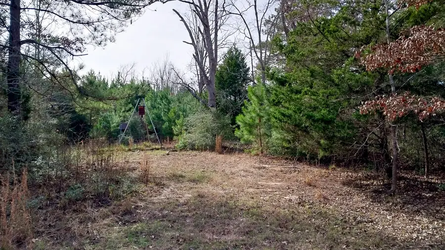 0 Fm 1511, Buffalo, TX 75831 - Image #3