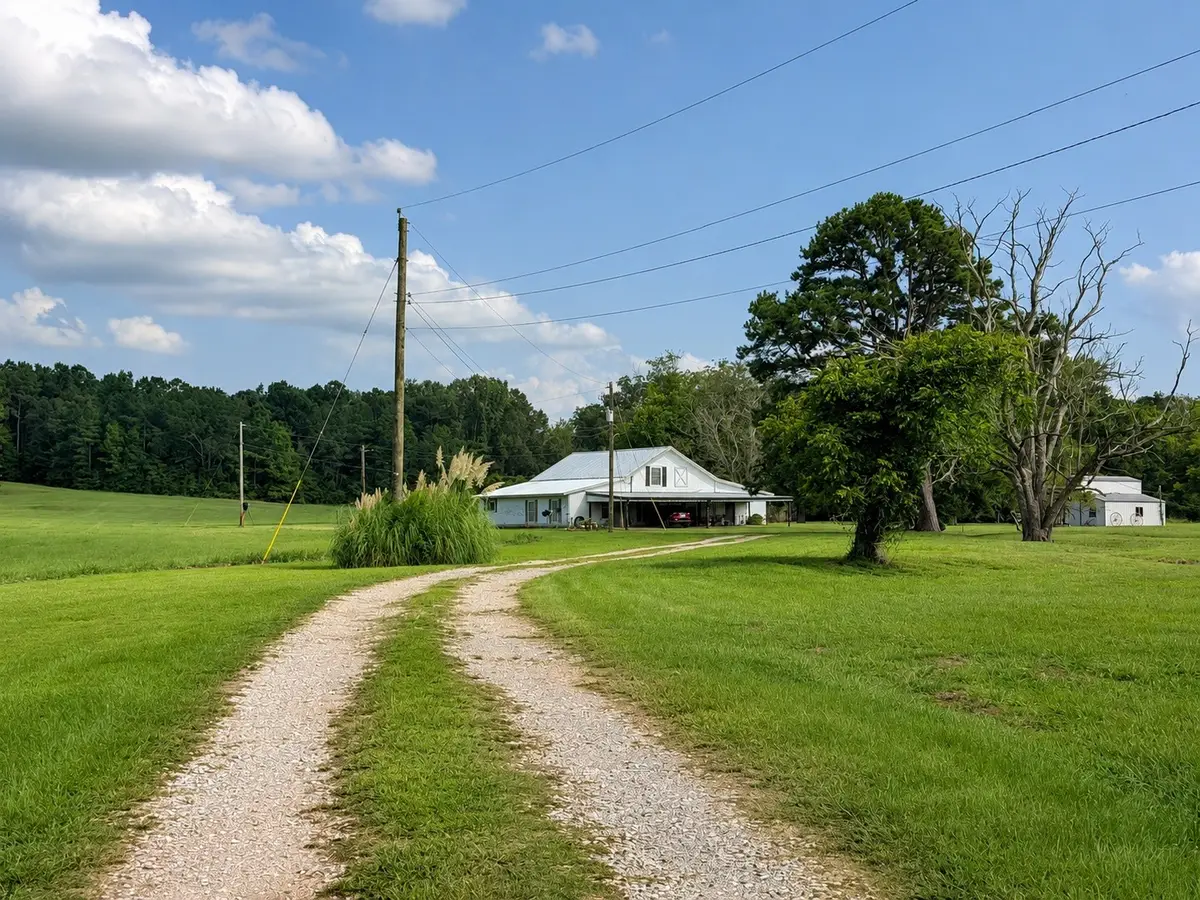 15410 Cr-354, Winona, TX 75792 - #1