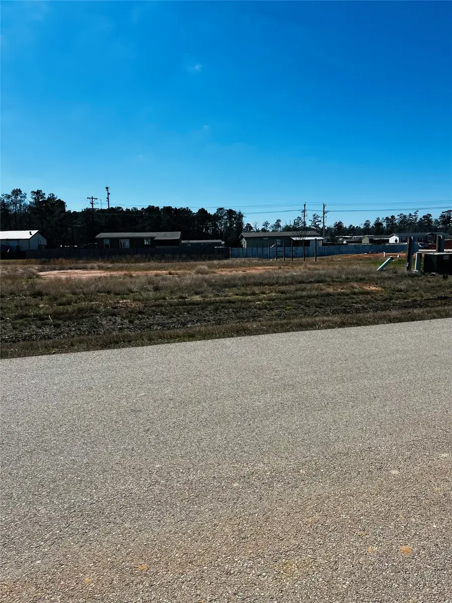 17710 Truckee Trail Lane, Conroe, TX 77306 - Image #3