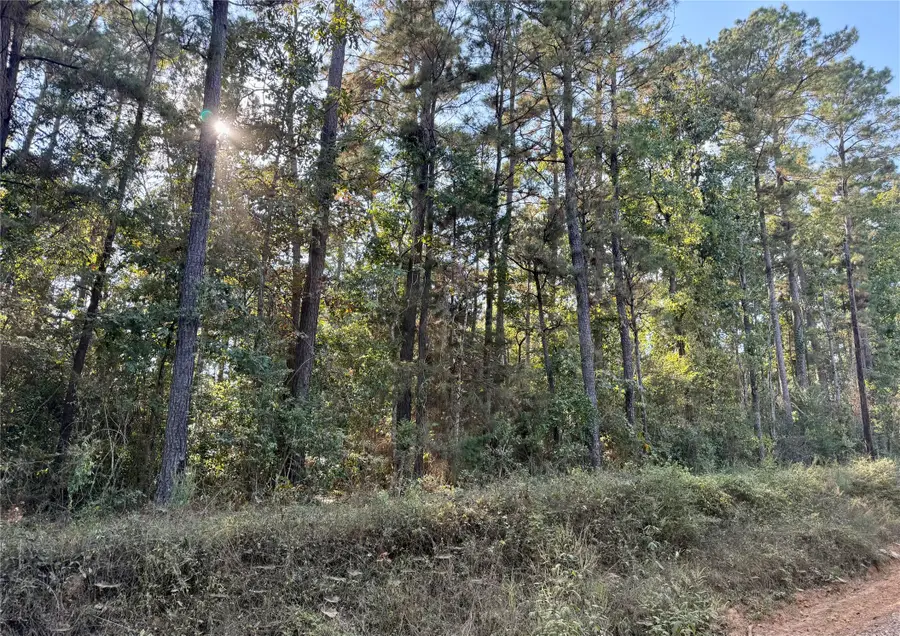TBD Ole Long Pull Rd Road, Livingston, TX 77351 - Image #2
