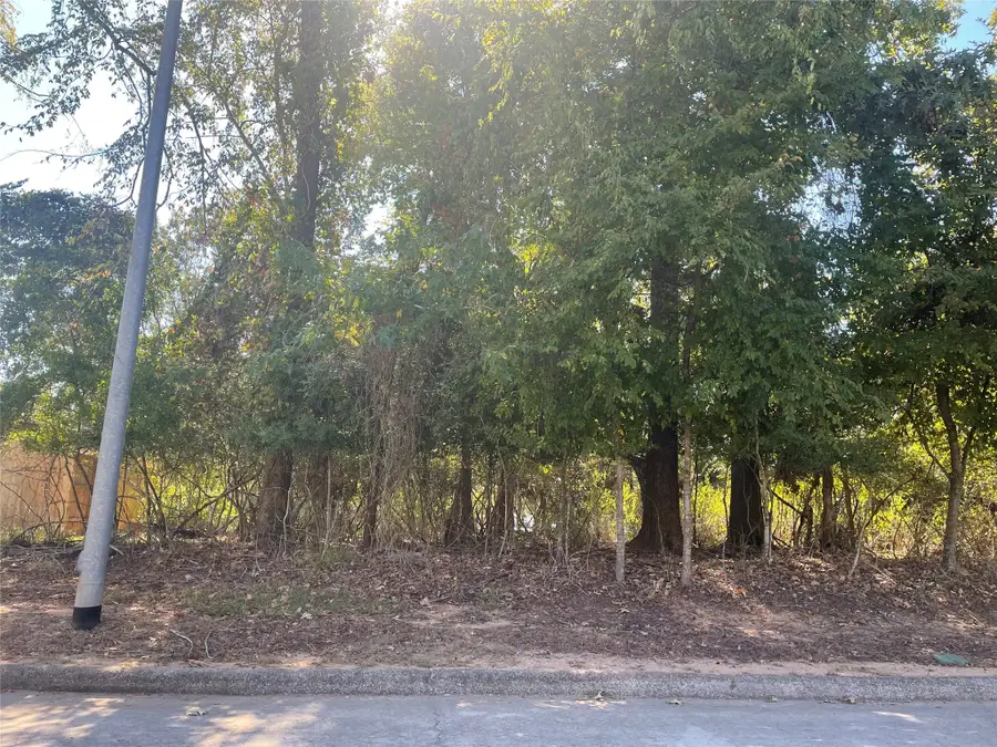 12963 Shady Grove Lane, Montgomery, TX 77356 - Image #2