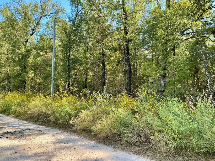 TBA Wendy Way Way, Livingston, TX 77351 - Image #3