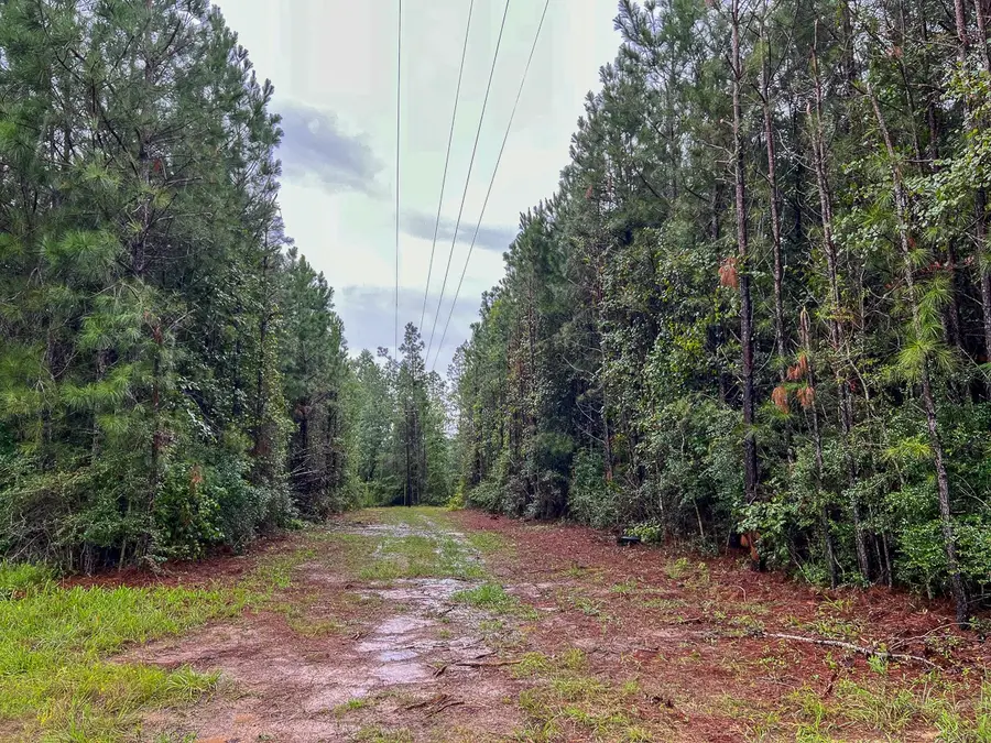 5 Sunflower Road, Livingston, TX 77351 - #2