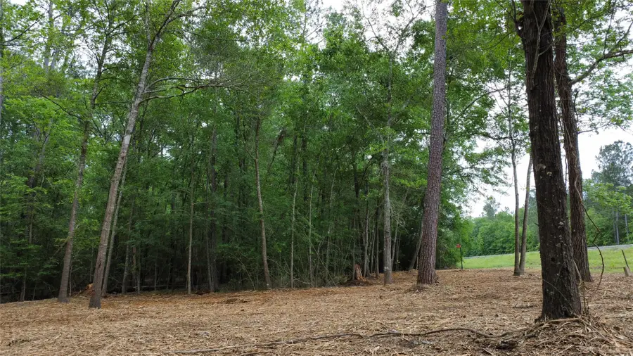 4 Ac. Fm 1486, Richards, TX 77873 - Image #3