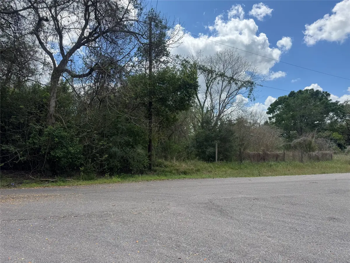0 County Road 898, West Columbia, TX 77486 - #1