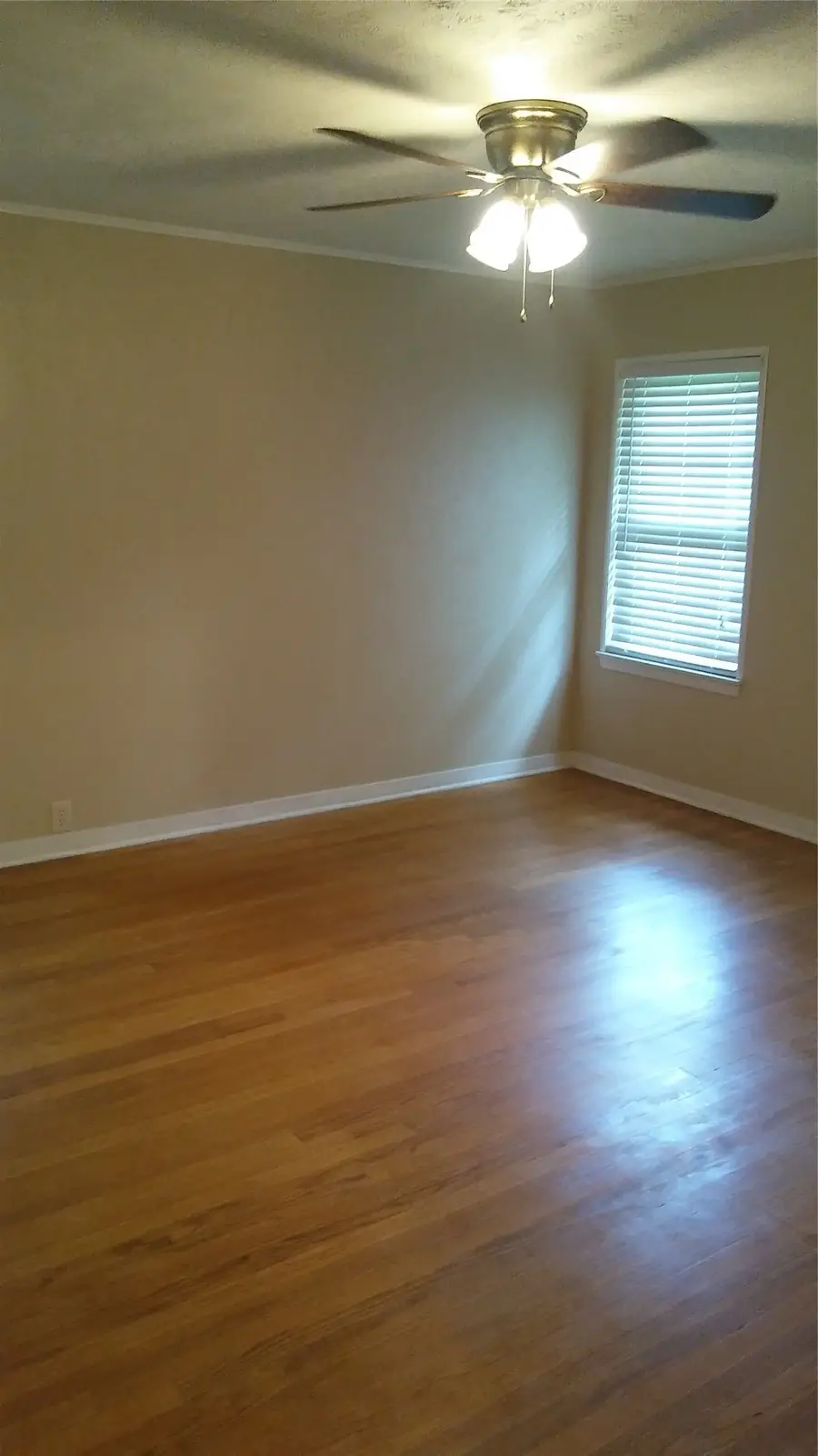 8106 Lorrie Extension, Houston, TX 77025 - #3