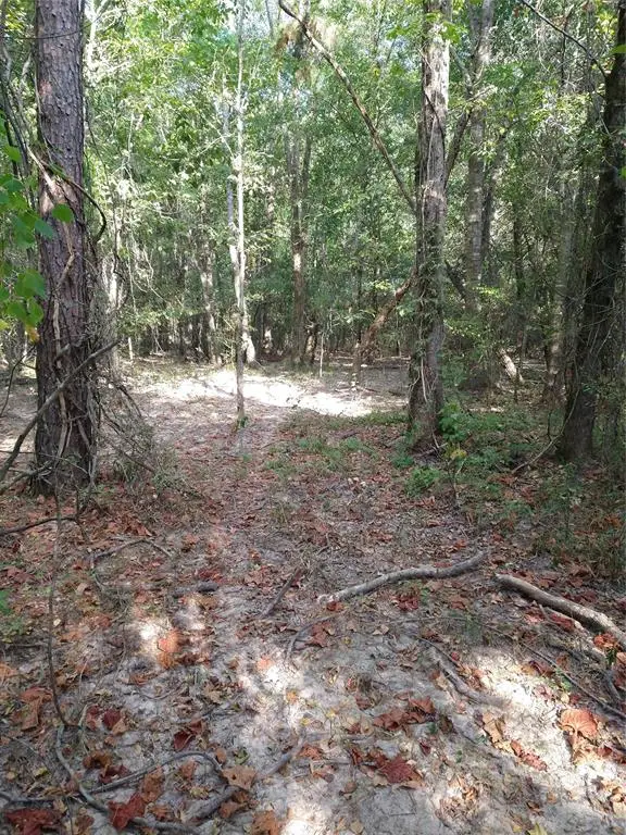 986 County Road 325, Cleveland, TX 77327 - Image #3