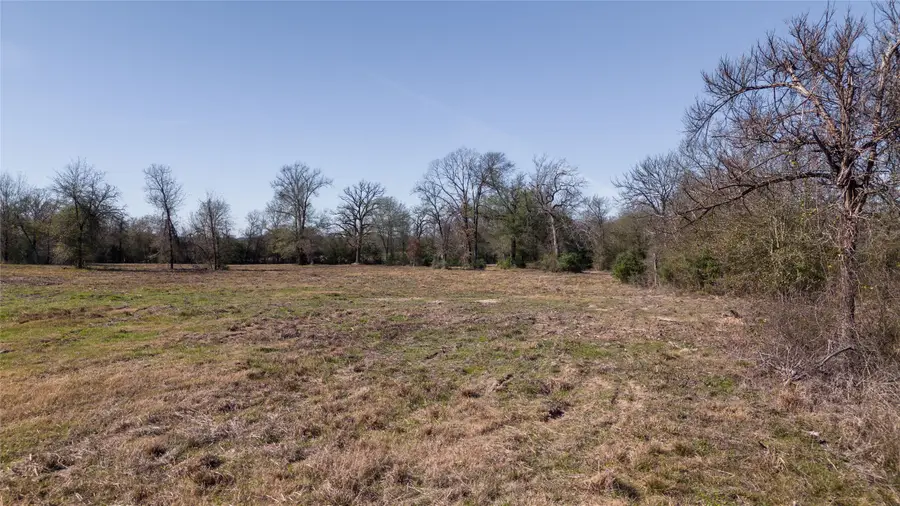 Tbd Tract 1 Wallace Rd, Madisonville, TX 77864 - Image #3