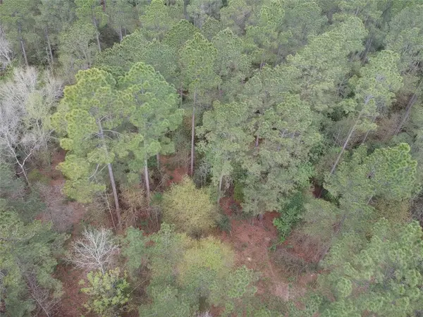 Lot 281 Lakeland Ranch Drive, Hillister, TX 77624