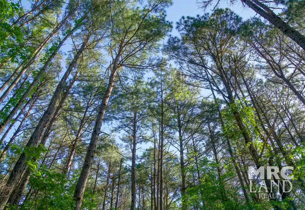 00 Hwy 315, Mount Enterprise, TX 75681