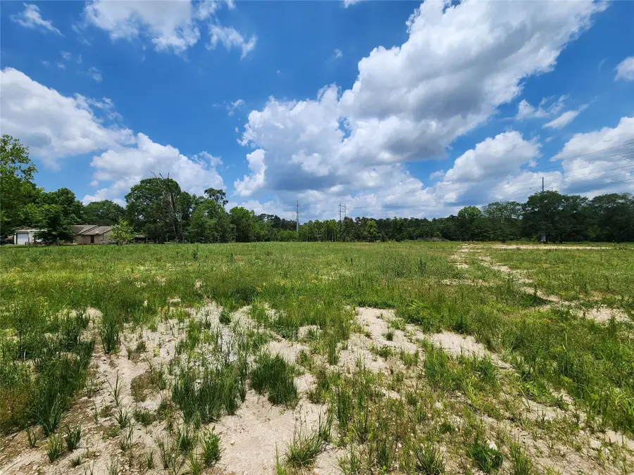 15029 Calhoun Road, Conroe, TX 77302 - Image #2