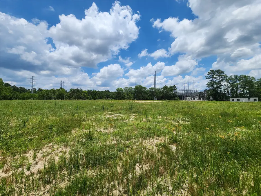 15029 Calhoun Road, Conroe, TX 77302 - Image #3