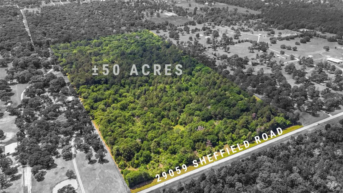 29059 Sheffield Road, Hockley, TX 77447 - Image #1