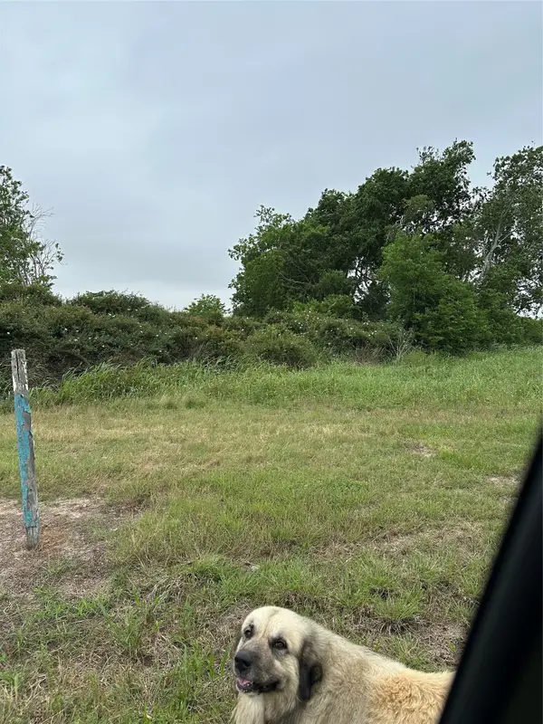 0 W County Road 465 Texaco Road, Blessing, TX 77419