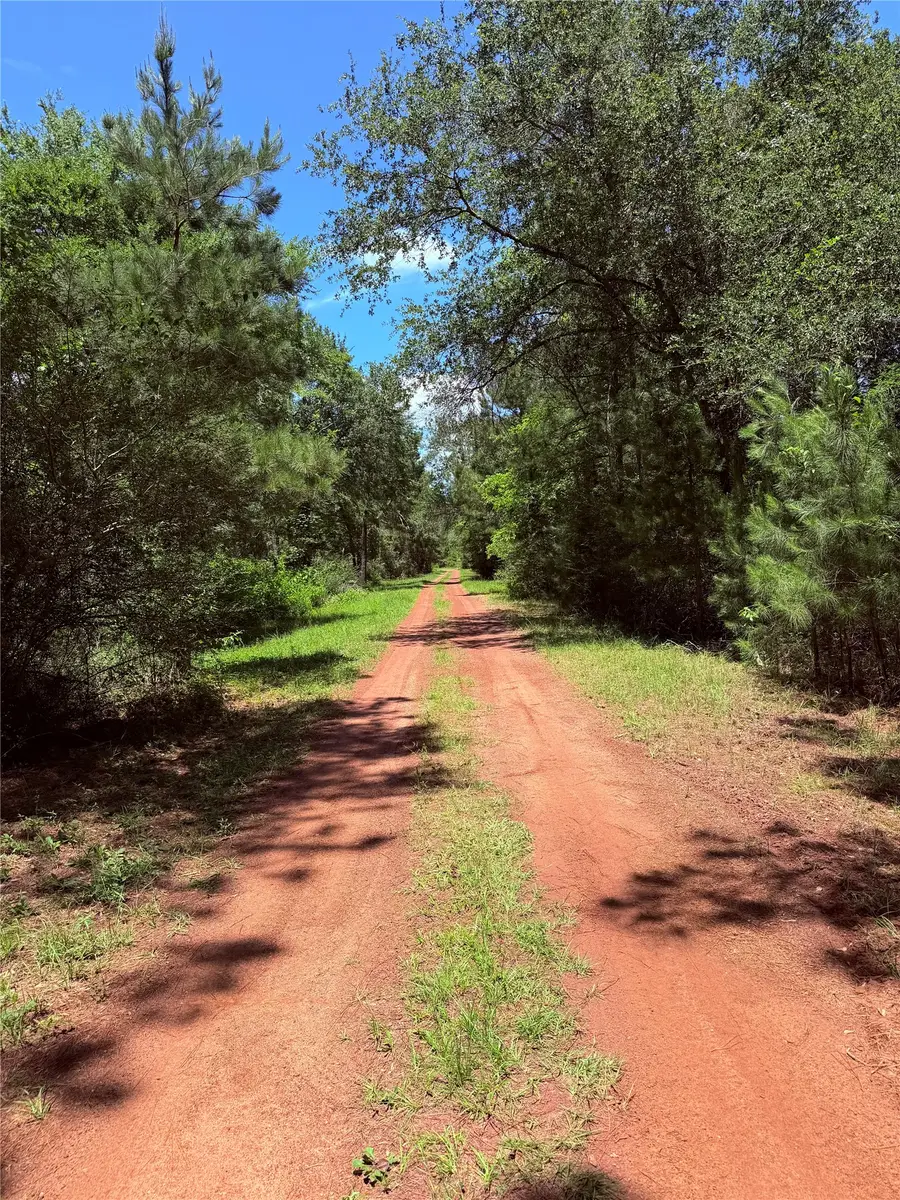 TBD LOT 7 Lakeshore Drive, Hempstead, TX 77445 - #3