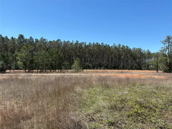 15807 Vine Veiw Court, Willis, TX 77378