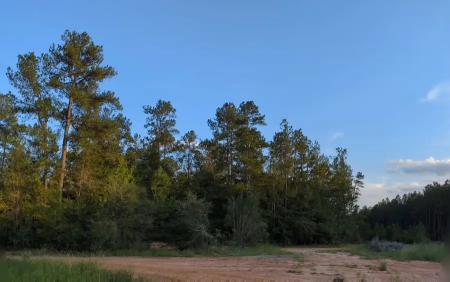 15807 Vine Veiw Court, Willis, TX 77378 - #2