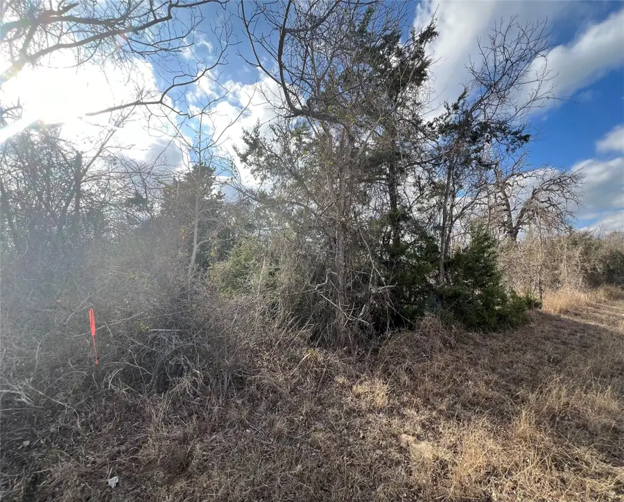 TBD Iron Bridge Road, Burton, TX 77835 - Image #2