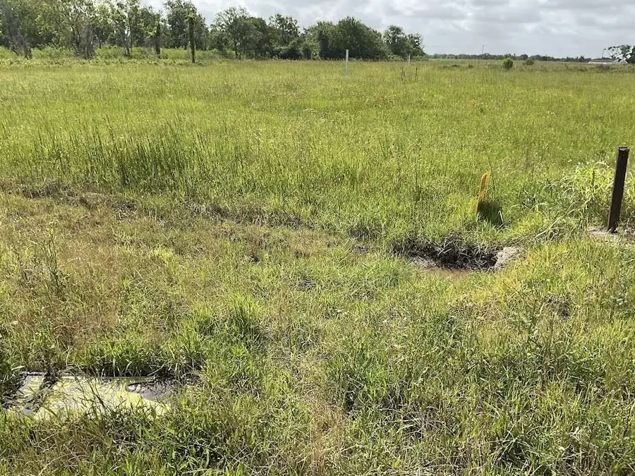 479 Brahman Trail, Angleton, TX 77515 - Image #3