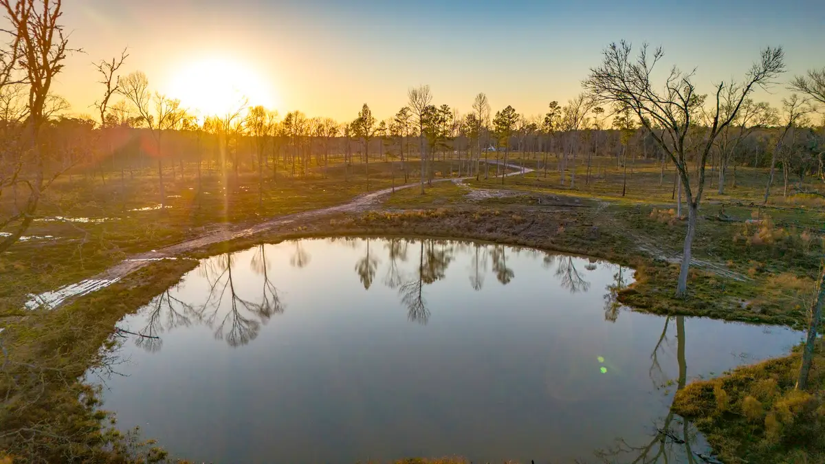 TBD 07 Johnson Drive, Livingston, TX 77351 - #1