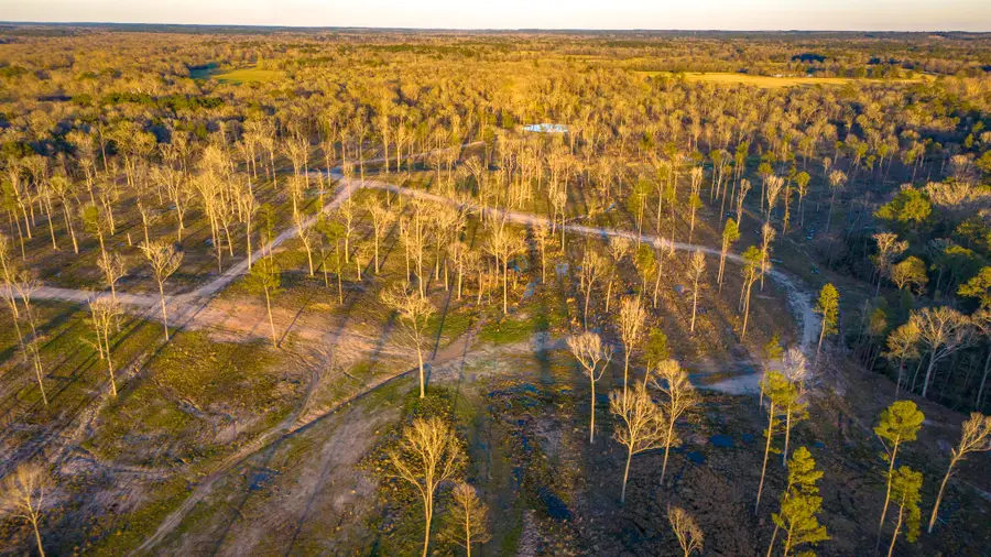 TBD 07 Johnson Drive, Livingston, TX 77351 - #2