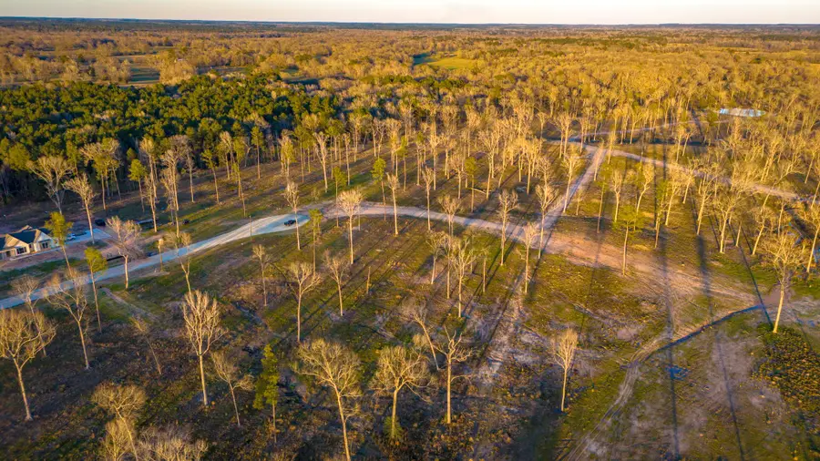 TBD 07 Johnson Drive, Livingston, TX 77351 - #3