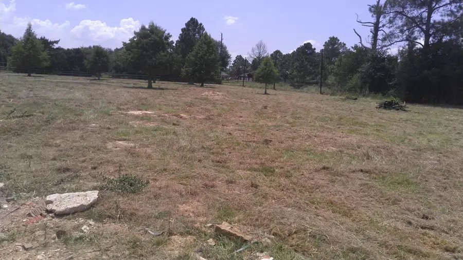 32519 Gadwall Street, Brookshire, TX 77423 - #2