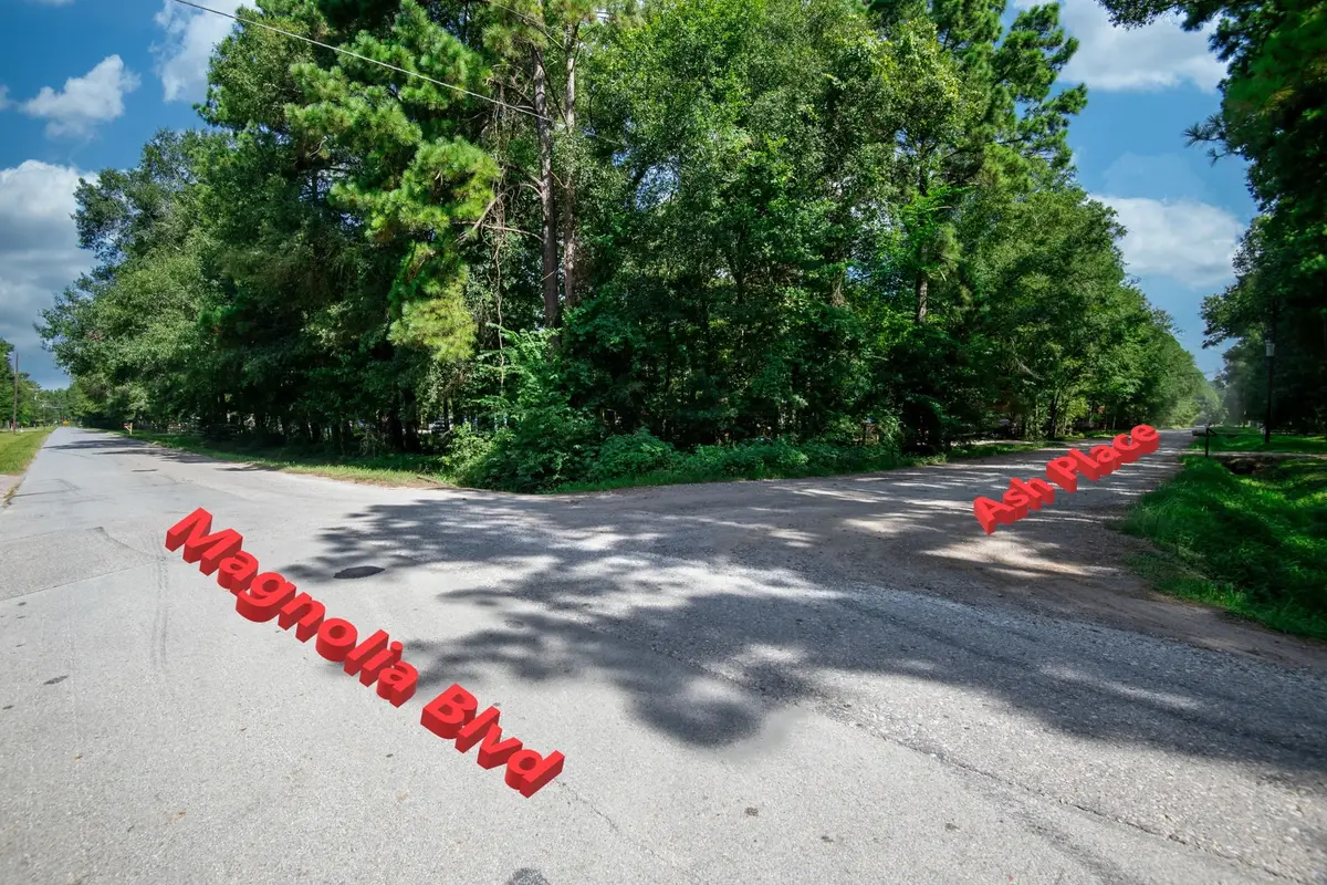 65 Ash Place, New Caney, TX 77357 - #1