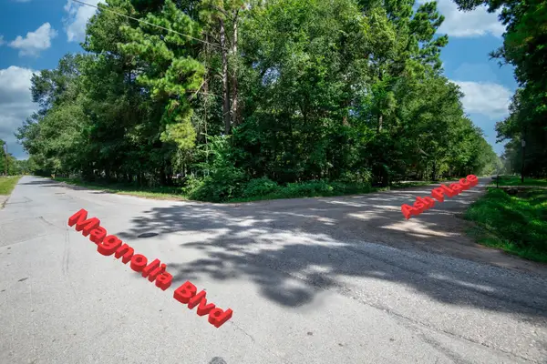 65 Ash Place, New Caney, TX 77357