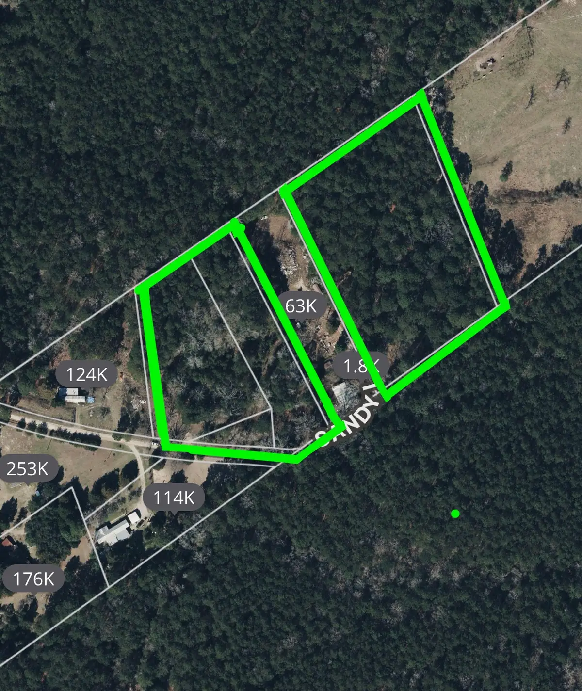 TBD Sandy Lane Lane, Point Blank, TX 77359 - Image #1