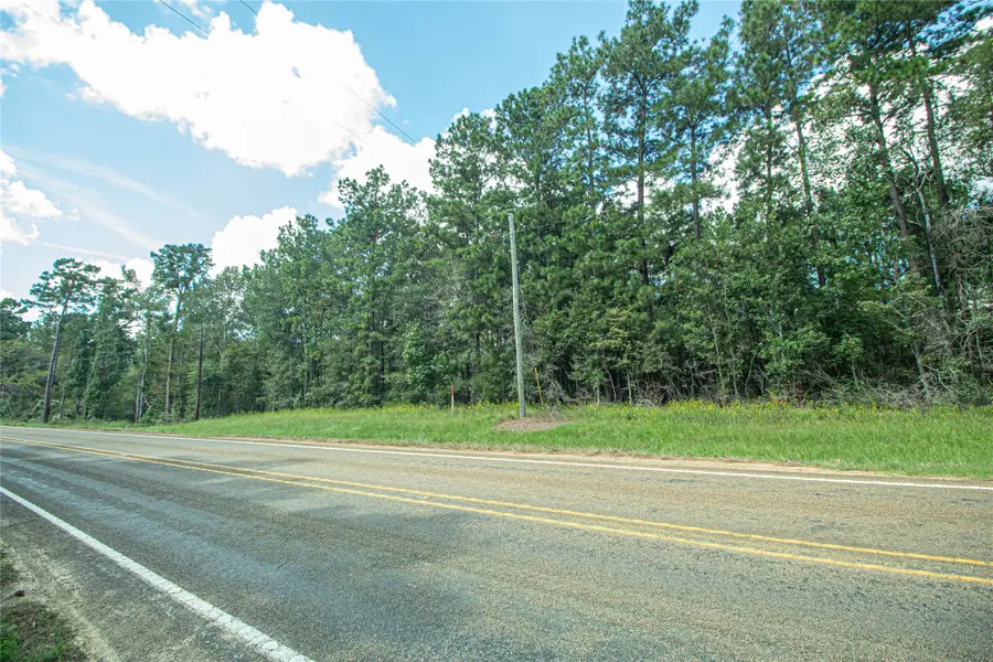 TBD Fm 2610, Livingston, TX 77351 - #3