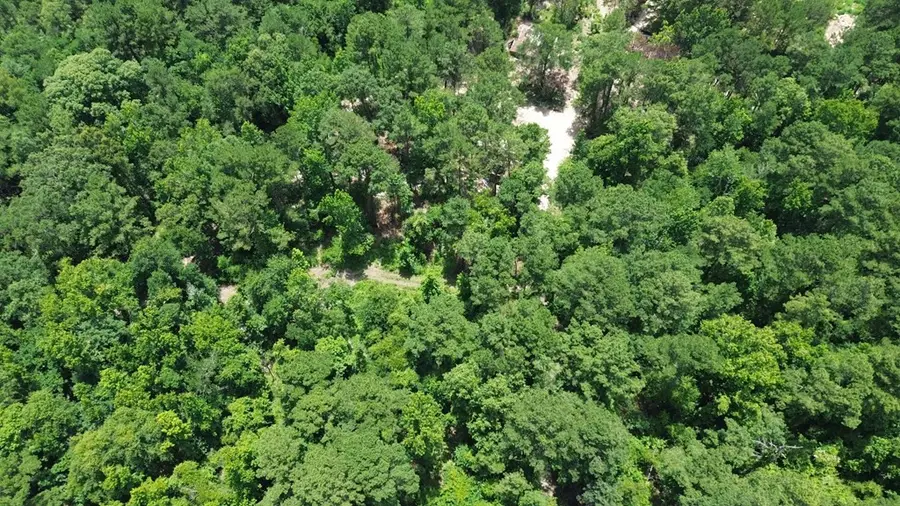 369 Cr 4240, Bon Wier, TX 75928 - #2