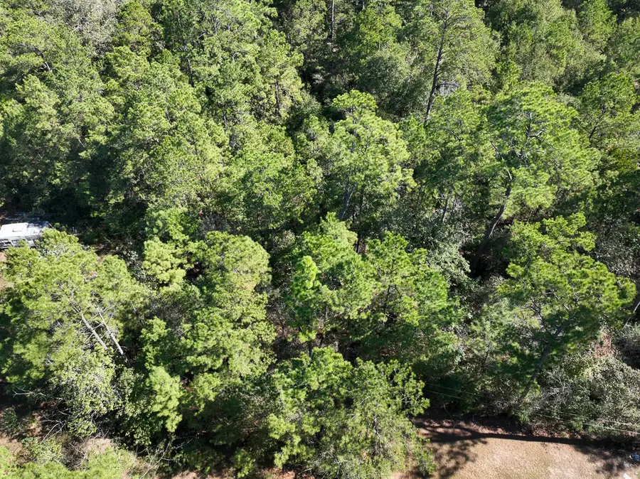 TBD Chanticlear Drive, Ivanhoe, TX 75979 - Image #3