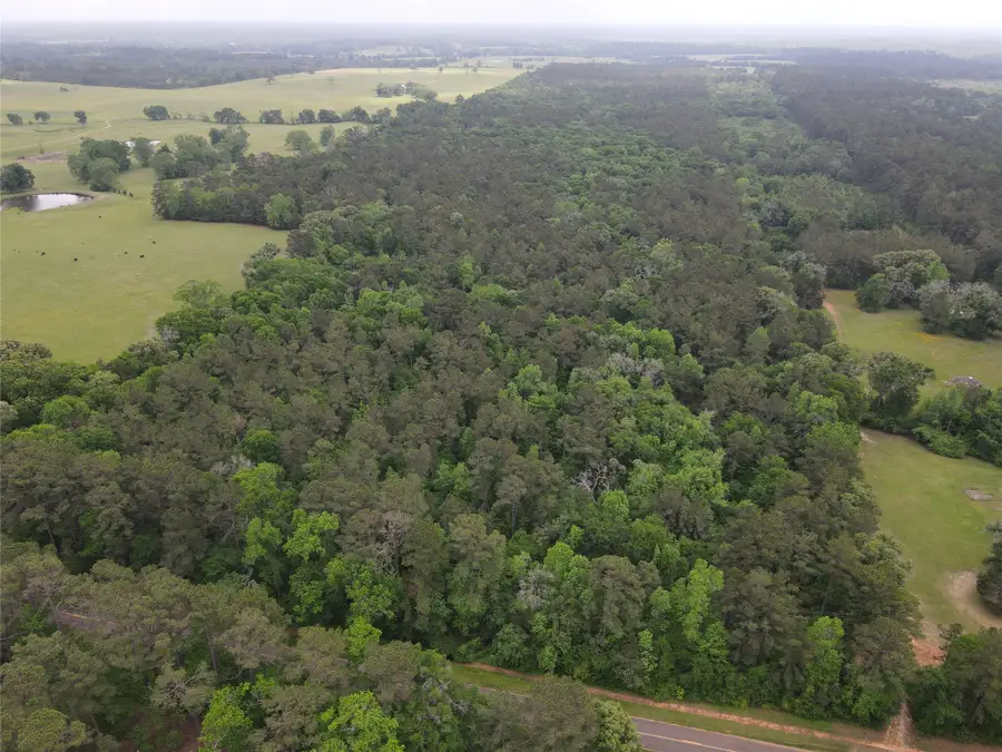 TBD Fm 2110, Crockett, TX 75835 - Image #2