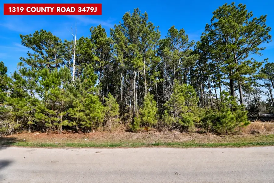1319 County Road 3479j, Cleveland, TX 77327 - #3
