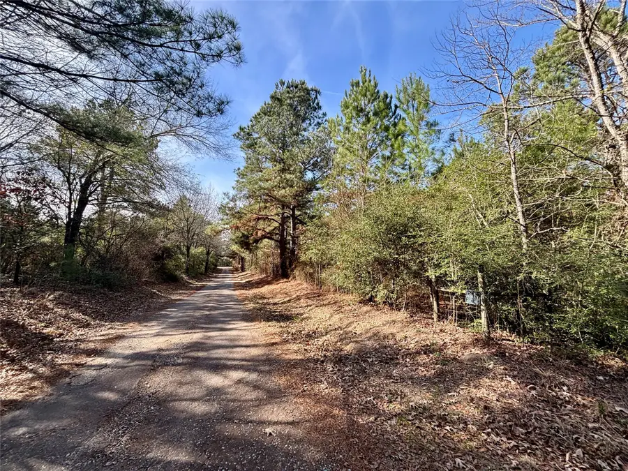 TBD Cr 300, Oakwood, TX 75855 - Image #2