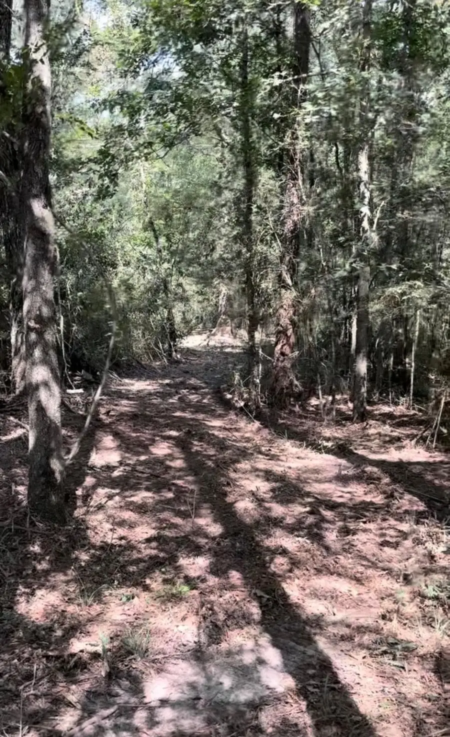 138711 Pumpkin Creek Court, Willis, TX 77378 - Image #2