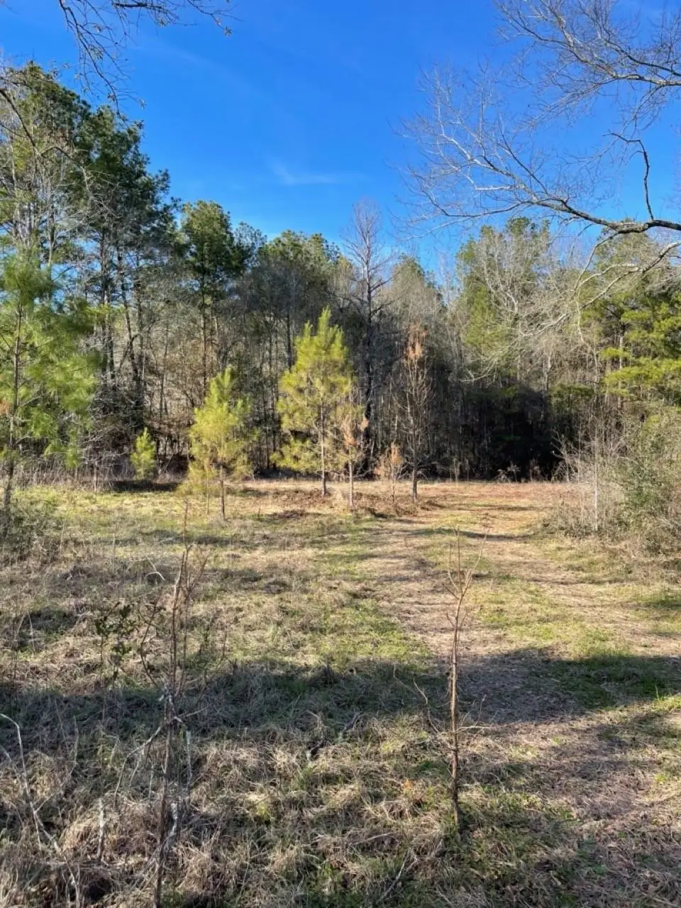 TBD Meekins Road, Cleveland, TX 77328 - #1