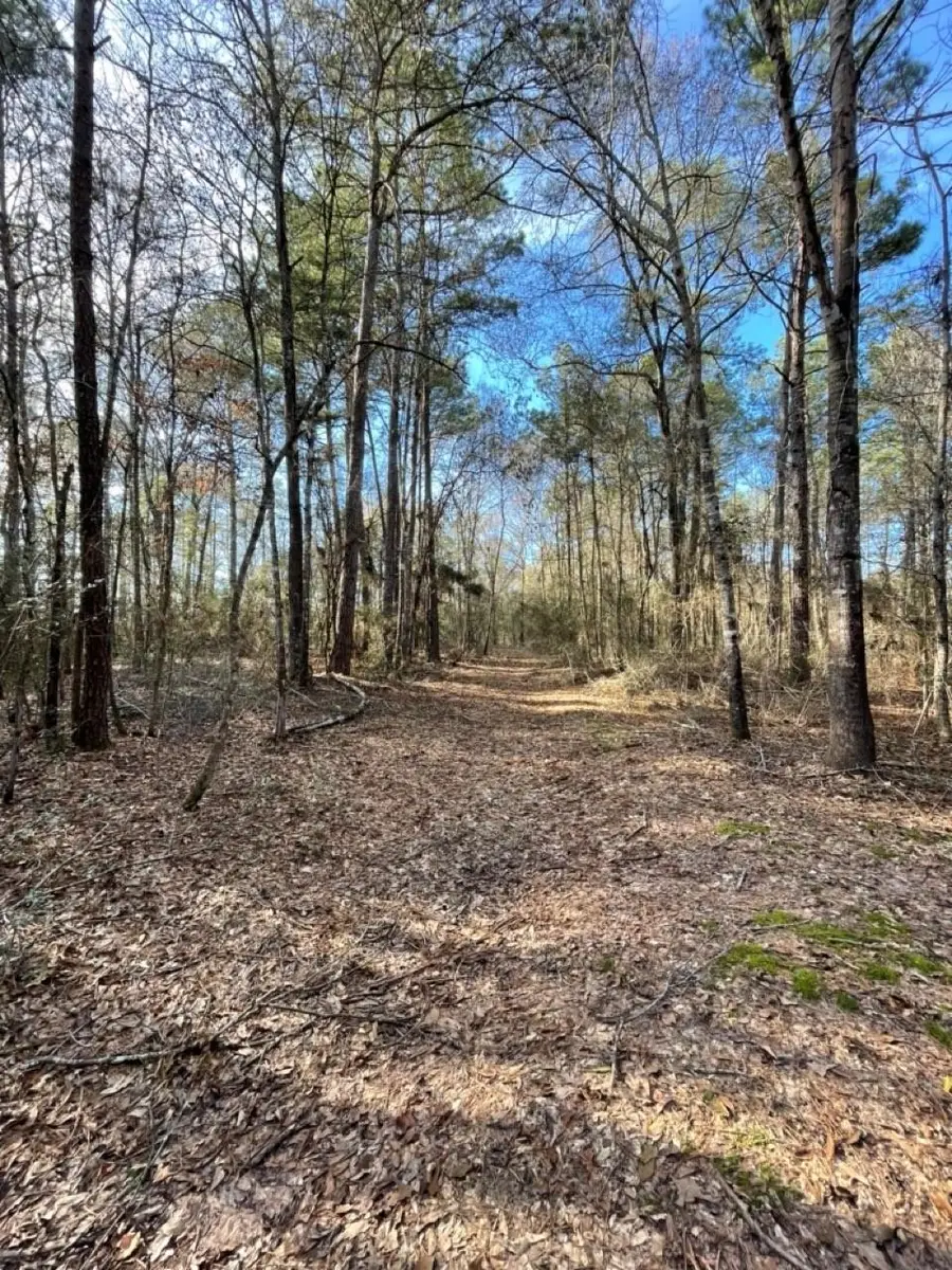 TBD Meekins Road, Cleveland, TX 77328 - #3