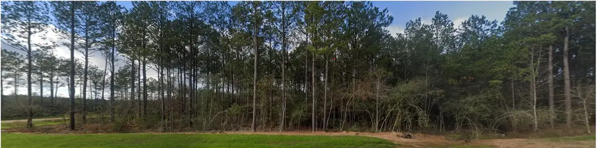 15508 Forest Grove Drive, Willis, TX 77378 - Image #1